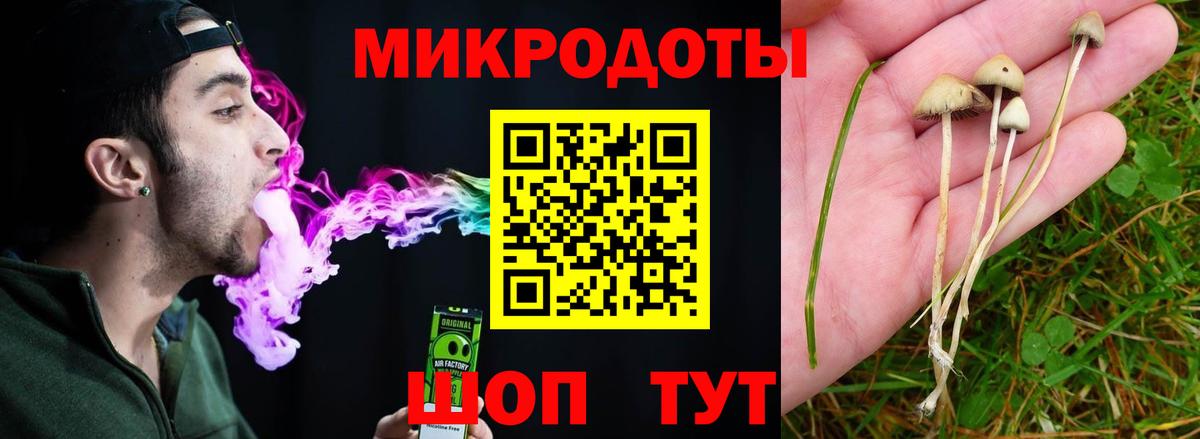 Галлюциногенные грибы мухоморы Кемерово